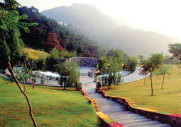 yoga in haridwar