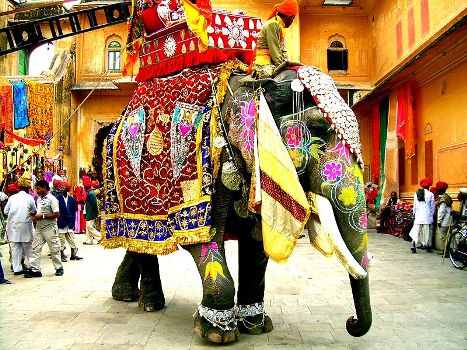 Brij festival Rajasthan travel