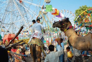 Brij festival Rajasthan travel