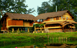 Kaziranga Jungle Resort