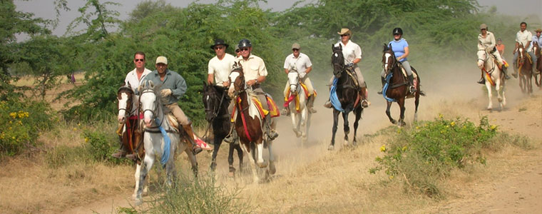 horse safari