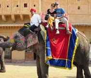 Elephant Ride Jaipur
