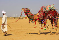 golden triangle tour camel safari jaisalmer rajasthan