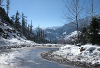 golden triangle tour manali himachal