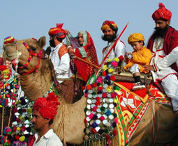 pushkar camel